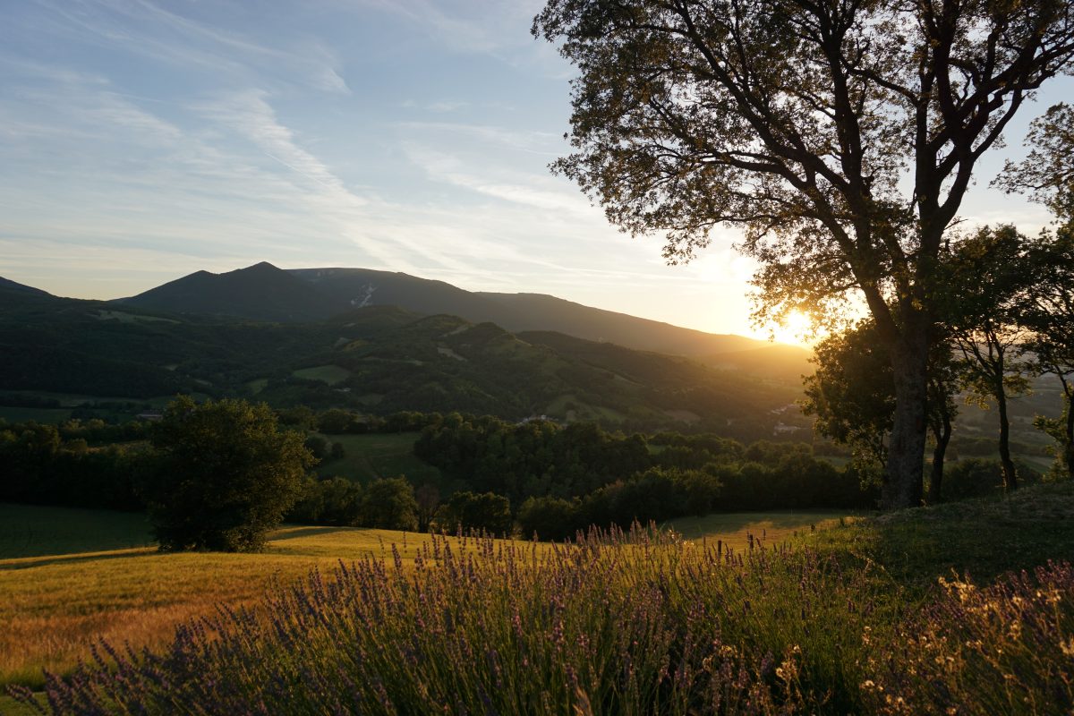 5 feiten le marche